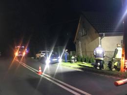Młode liski utknęły w rowie melioracyjnym. Nocna akcja TOZ i strażaków