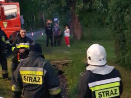 Młode liski utknęły w rowie melioracyjnym. Nocna akcja TOZ i strażaków