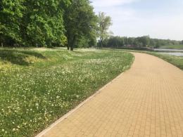 Park nadodrzański po 2 dniach wolnego tonie w śmieciach. Co będzie później?