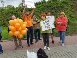 "Pestki zostały rzucone". Ekolodzy namawiali do wspólnego siania dyni