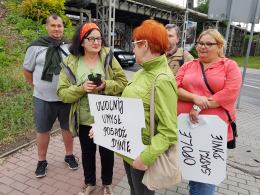 "Pestki zostały rzucone". Ekolodzy namawiali do wspólnego siania dyni