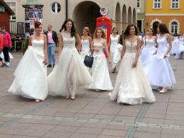 Panny młode w pięknych kreacjach na opolskim rynku, to już 6-ta edycja