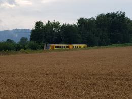 19-latek wjechał na przejazd kolejowy w Głuchołazach. Zginął na miejscu