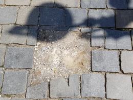 Zniknęła gwiazda Michała Bajora z opolskiej Alei Gwiazd