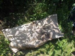 Młoda suczka znaleziona w worku przy drodze. Sprawca poszukiwany