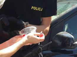 Mały kot utknął w komorze silnika. Szybka reakcja policjantów uratowała mu życie