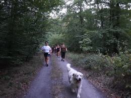 Nordic walking - o co w tym "chodzi"?