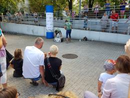 Trwa dwudniowy festiwal OpenOPOLE - Festiwal Zdarzeń Artystycznych