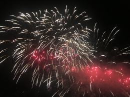 Doda gwiazdą wieczoru podczas "Opola w rytmie natury"