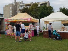 Trwa piknik ekologiczny "Opole w rytmie natury"