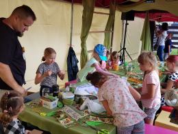 Trwa piknik ekologiczny "Opole w rytmie natury"