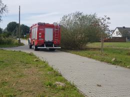 Nieszczęśliwy wypadek w Juraparku w Krasiejowie. Pracownik spadł ze skarpy