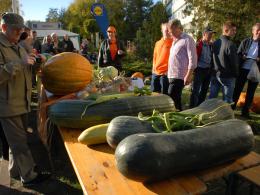 Najcięższa dynia na Bania Fest w Krapkowicach ważyła 746,5 kg