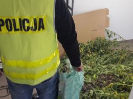 Narkotykami chciał spłacić kredyt