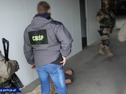 CBŚP zlikwidowało trzy duże plantacje konopi 