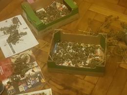W bagażniku volkswagena znaleźli blisko 300 gramów marihuany