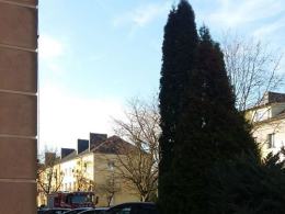 Ewakuacja mieszkańców na ulicy Dzierżona w Ozimku