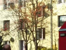 Ewakuacja mieszkańców na ulicy Dzierżona w Ozimku