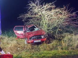 Pijany kierujący uderzył w drzewo i wypadł z samochodu