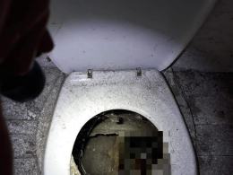 Kobieta utopiła 5 psów w szambie. Tłumaczyła, że topiła "tylko suki"