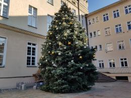 Na rynku w Opolu stanął już mikołaj, zjeżdżają się też pierwsi wystawcy