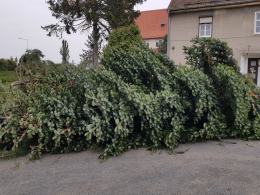 Ruszyła budowa żywej szopki przy parafii św. Józefa w Opolu-Szczepanowicach