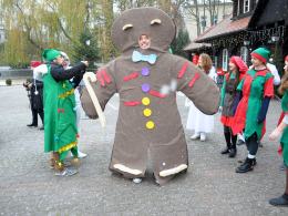 Ślizgawka na Stawie Zamkowym otwarta