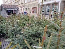 Trwa Jarmark Bożonarodzeniowy na Rynku w Opolu