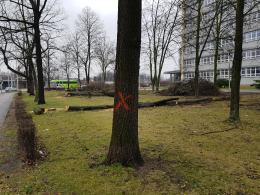 Rusza budowa węzła Opole Wschodnie