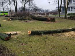 Rusza budowa węzła Opole Wschodnie