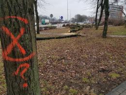 Rusza budowa węzła Opole Wschodnie