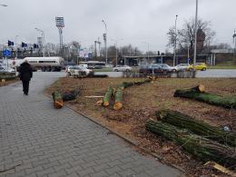 Rusza budowa węzła Opole Wschodnie
