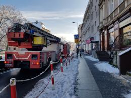 Niecodzienna interwencja strażaków w Opolu. Zostali wezwani do....gołębia