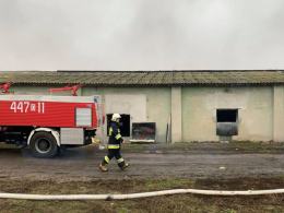 Spłonął kurnik w Brożcu. W akcji brało udział 18 zastępów straży