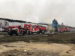 Spłonął kurnik w Brożcu. W akcji brało udział 18 zastępów straży
