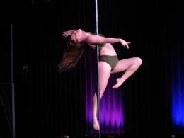 Niesamowite pokazy Pole Art na Międzynarodowych Zawodach Pole Art Experience