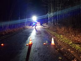 Niespokojna noc dla strażaków, dziesiątki powalonych drzew