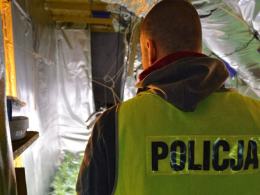 Policja zlikwidowała plantacje marihuany pod Prudnikiem