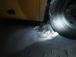 Próba podpalenia autobusu na dworcu PKS