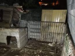Inspektorzy TOZ odebrali z "hodowli" 10 psów. Żyły w makabrycznych warunkach