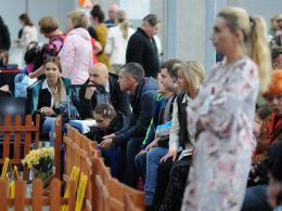 W Centrum Wystawienniczo-Kongresowym trwa Wystawa Psów Rasowych
