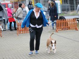W Centrum Wystawienniczo-Kongresowym trwa Wystawa Psów Rasowych