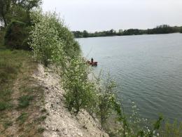 Obcokrajowiec wskoczył do wody na kąpielisku Bolko, trwa akcja poszukiwawcza