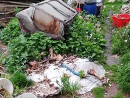 Horror w powiecie prudnickim. Zwierzęta z głodu zjadały siebie nawzajem