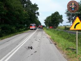 Tragiczny wypadek na trasie Kozłowice - Boroszów. Nie żyje 43-letnia kobieta