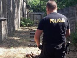 Najlepszy przewodnik psa służbowego na Opolszczyźnie i jego partner Hura