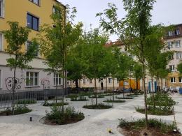 Rewitalizacja Placu św. Sebastiana. Jak idą prace?