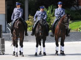 Wojewódzkie i Miejskie Obchody Święta Policji w Opolu