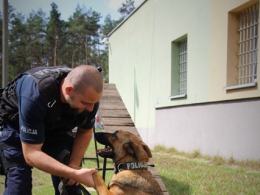 "Furia" - nowy czworonożny funkcjonariusz