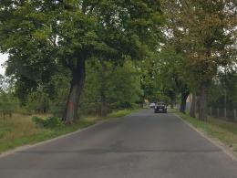 Budowa ścieżki rowerowej Opole-Turawa pochłonie miliony złotych i setki drzew